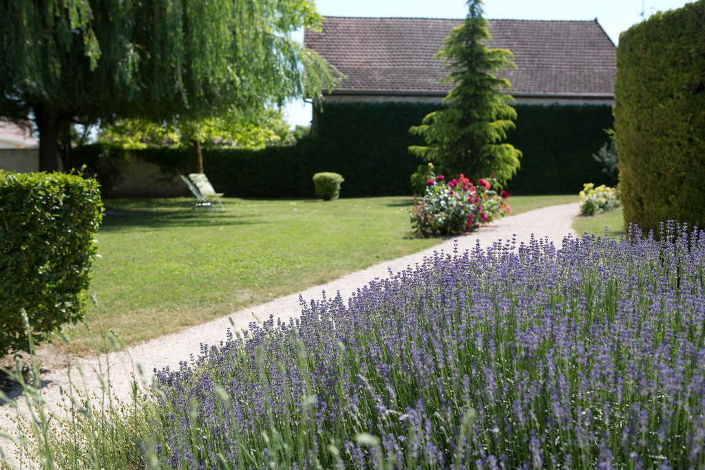Hotel L'Oree Des Vignes Gilly-lès-Cîteaux Kültér fotó